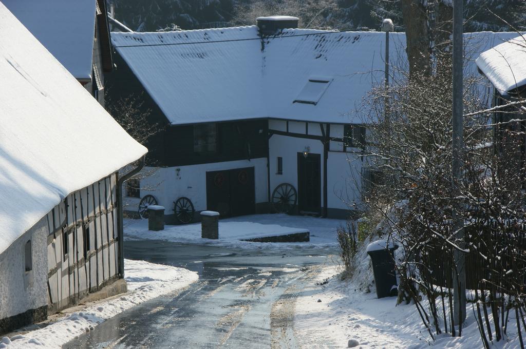 Eifelhoeve In Benenberg Hellenthal Habitación foto